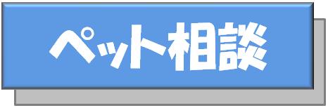 ペット特集